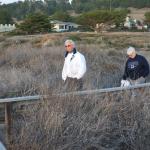 Cambria_0194 (November 05, 2011)